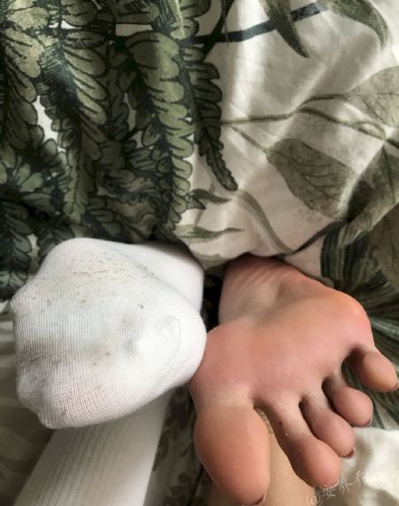 铁齿铜牙纪晓岚第四部 电视剧