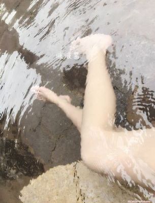 花游记 电视剧