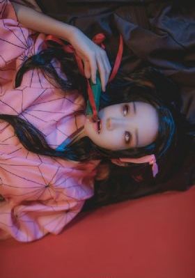 淑女的诱惑