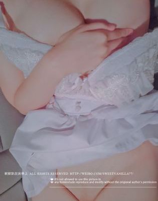 老版熊出没免费观看