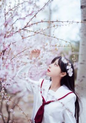 做受视频